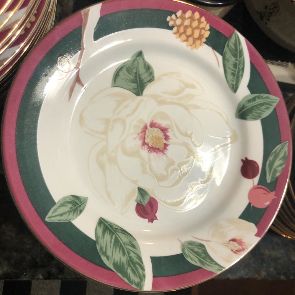 Tienshan Magnolia Fine China - HUGE SET